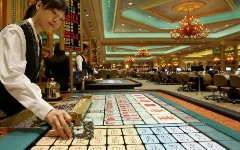 金年会·金字招牌诚信至上 | 2025版